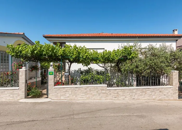 Apartment Vivid Pula